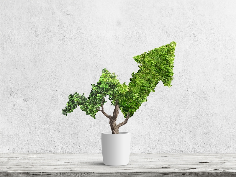 Unser Nachhaltigkeitsanspruch